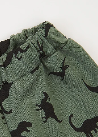 Костюм (світшот, штани) Фламинго (303403383)