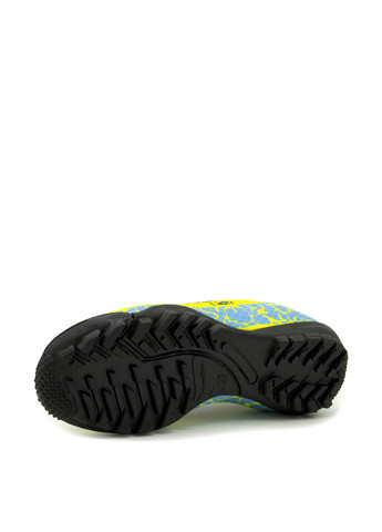 Цветные cороконожки Lion