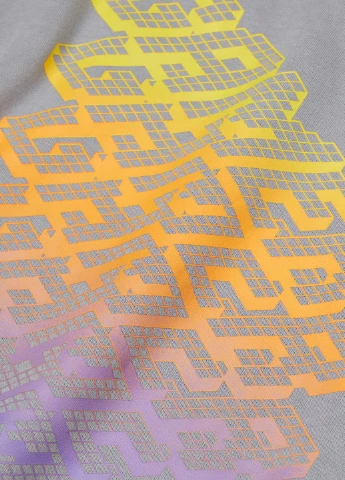 Худі фліс,світло-сірий з принтом, H&M (255170776)