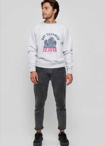 Серый свитшот мужской YAPPI рисунок (250563925)