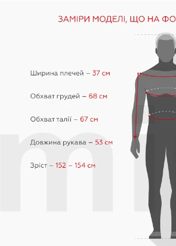 Серые спортивные зимние брюки Pitiki