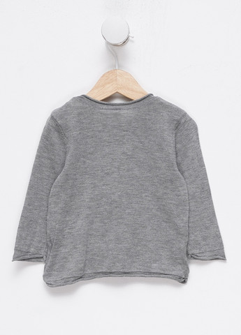 Сірий демісезонний джемпер джемпер H&M