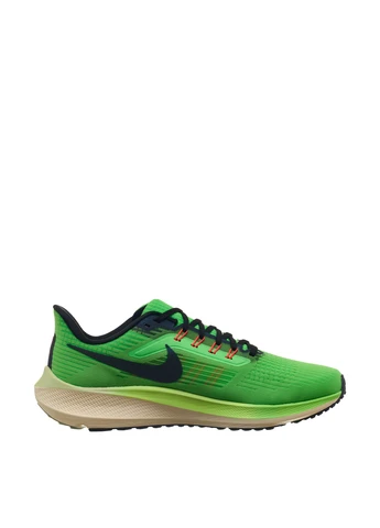 Зеленые демисезонные кроссовки dz4776-343 Nike Pegasus 39