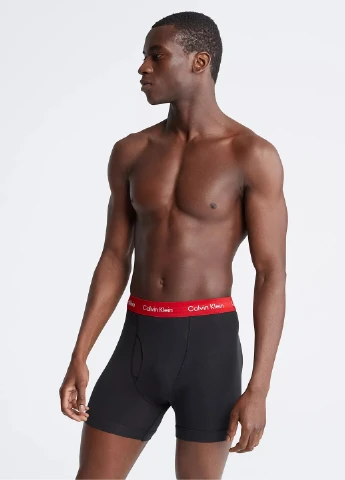 Трусы (3 шт.) Calvin Klein (285456216)
