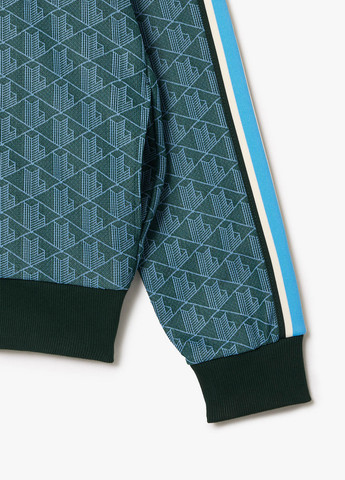 Толстовка Lacoste (329694459)