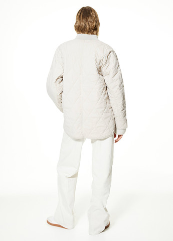 Светло-серая демисезонная куртка H&M