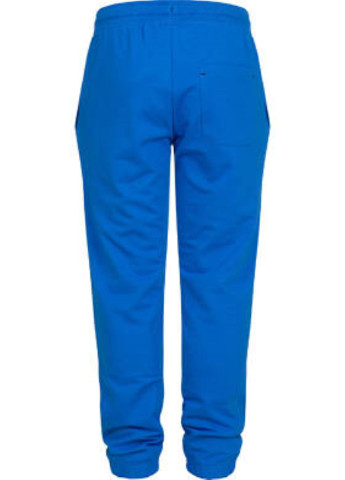 Голубые спортивные демисезонные брюки зауженные Endo