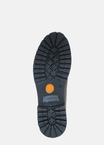 Зимние ботинки rc02 синий Carvallio