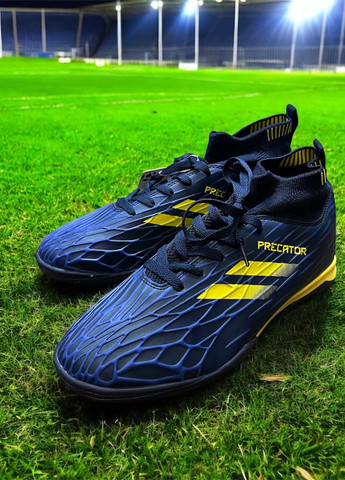 Сороконіжки Caroc (370386356)