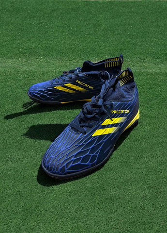 Сороконіжки Caroc (370386356)