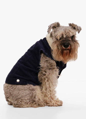 Куртка для собаки Boohoo темно-синя