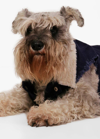 Куртка для собаки Boohoo темно-синя