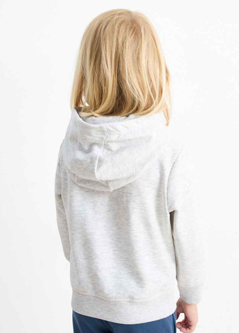 Комбінований демісезонний комплект (худі, світшот) C&A