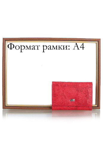 Женский кожаный кошелек 12,6х9х2,5 см Desisan (195547451)