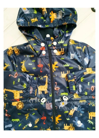 Комбінована демісезонна вітровка Color Dreams