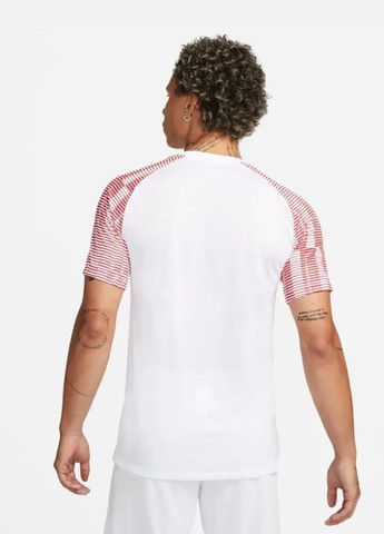 Біла футболка dh8031-100 Nike Dri-FIT Academy