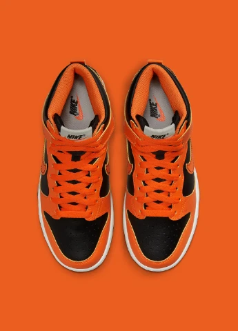 Цветные демисезонные кроссовки db2179-004 Nike Dunk High