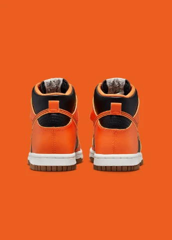Цветные демисезонные кроссовки db2179-004 Nike Dunk High