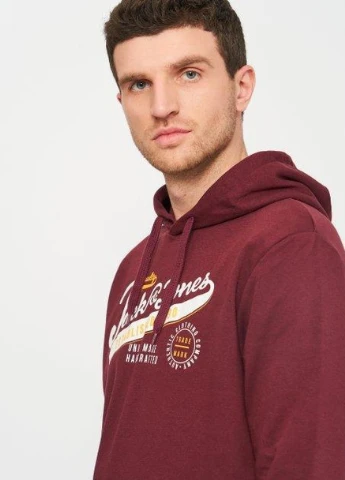 Худі,сливовий з принтом, JACK&JONES (255170807)