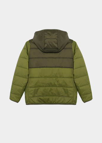 Зелена зимня куртка Vans VN00002DCBN1