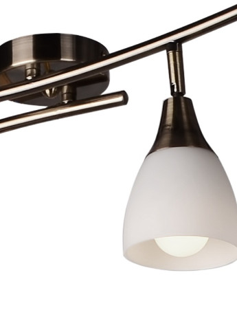 Светильник настенно-потолочный спот поворотный накладной HTL-138/4 E14 AB/SN Brille (253893570)