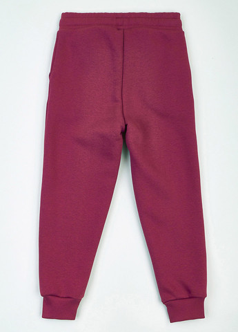 Фиолетовые спортивные демисезонные джоггеры брюки KRAKO