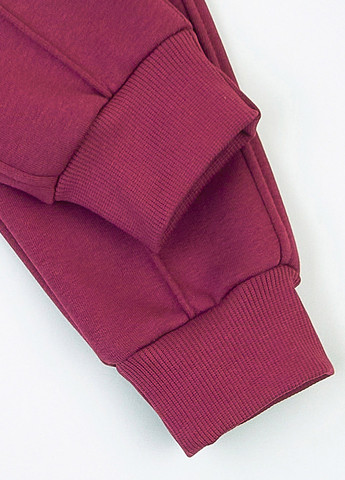 Фиолетовые спортивные демисезонные джоггеры брюки KRAKO