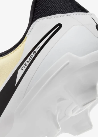 Бутси DV4337-700 Nike Legend 10 Ac.FG/M (322378173)