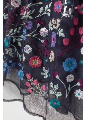 Синіти сукня H&M (223727506)