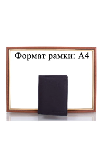 Мужское кожаное портмоне 10х13,5х2,5 см DNK Leather (232990012)