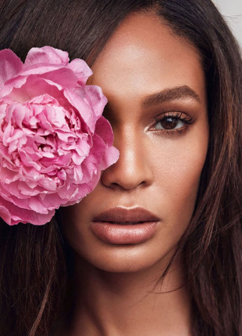 Мист, 75 мл Victoria's Secret (252882451)