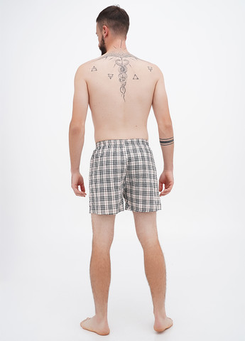 Труси (5 шт.) Ecko Unltd (306444982)