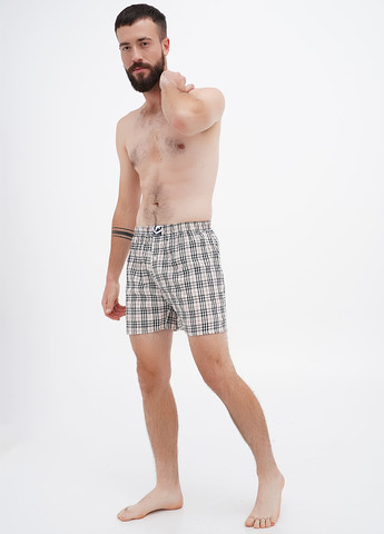 Труси (5 шт.) Ecko Unltd (306444982)