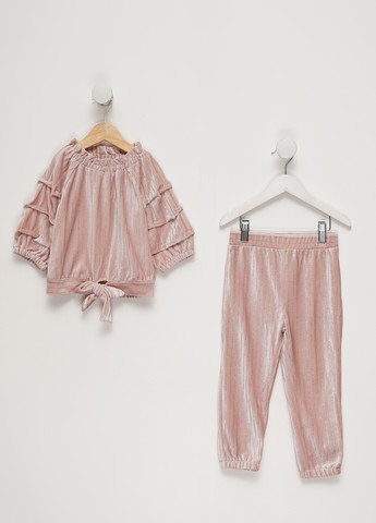 Пудровый демисезонный костюм (блуза, брюки) брючный HABITUAL