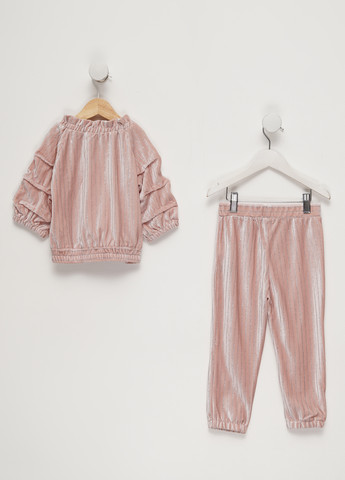 Пудровый демисезонный костюм (блуза, брюки) брючный HABITUAL