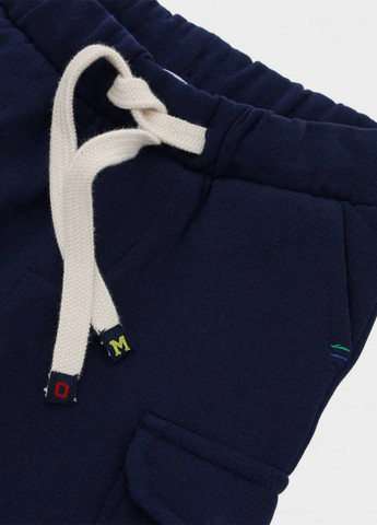 Темно-синие спортивные демисезонные брюки карго Original Marines