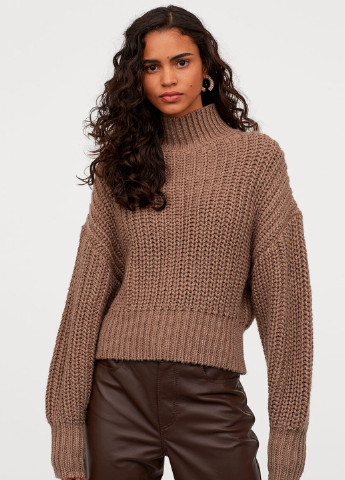 Светло-коричневый демисезонный свитер H&M