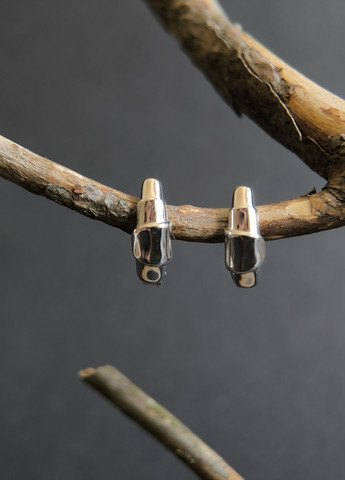 Серьги Silver Flame (350941511)