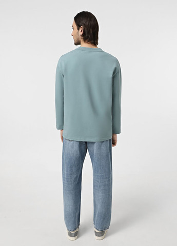 Лонгслів Promin однотонний сіро-голубий кежуали, спортивні бавовна, трикотаж