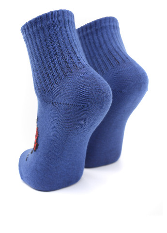 Шкарпетки Смалий (252478302)