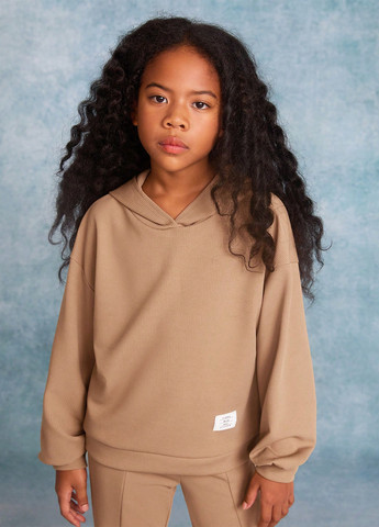 Світло-коричневий демісезонний костюм (толстовка, штани) брючний SHEIN