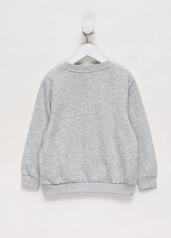 Світло-сірий світшот H&M меланж без декору (304136974)