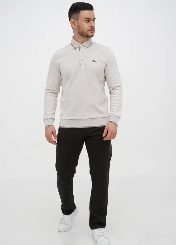 Світло-сірий демісезонний светр Trend Collection