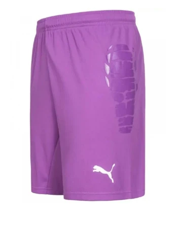 Шорты 700395-04 Puma Shorts (318311471)