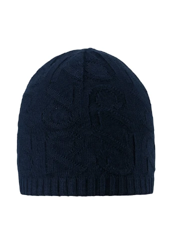 Шапка Reima (17959355)