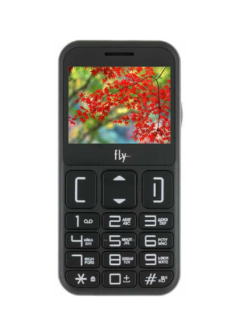 Мобильный телефон FLY ezzy 9 black (132703167)