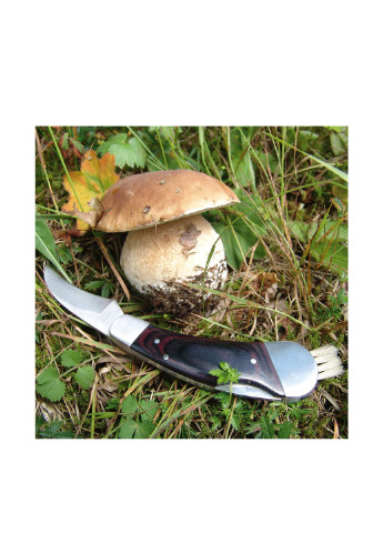 Нож грибной, 11 см Schwarzwolf (208570354)