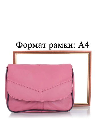Женская кожаная сумка-почтальонка 25,5х17,5х9,5 см TuNoNa (195547525)
