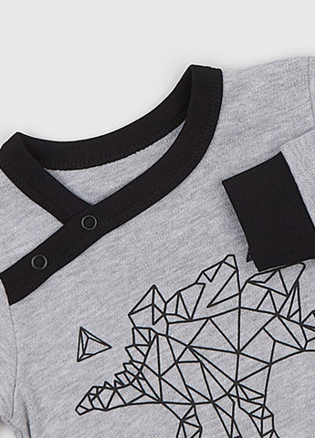 Сірий демісезонний костюм (світшот, штани) брючний Ляля