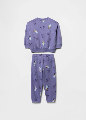 Серо-синий демисезонный костюм (свитшот, брюки) брючный Gap